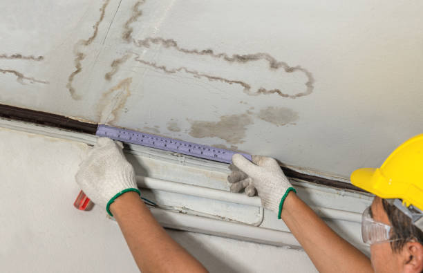 Reliable Water Damage contractor in Michigan, MI by Water Damage Irwin
